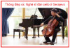 Thông điệp cs Nghệ sĩ đàn cello ở Serajevo