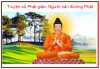 Người cản đường Phật - Truyện cổ nhà phật kỳ 36 - Một trăm truyện tích nhân duyên