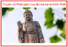 Vua tần-bà-sa-la thỉnh Phật - Truyện cổ nhà phật kỳ 19 - Một trăm truyện tích nhân duyên