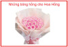Những bông hồng cho Hoa Hồng - Thông điệp cuộc sống kỳ 180 - Hạt giống tâm hồn tập 4