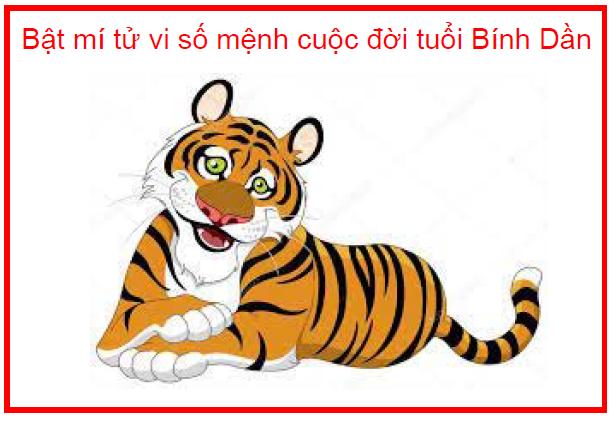 Bật mí tử vi số mệnh cuộc đời tuổi Bính Dần