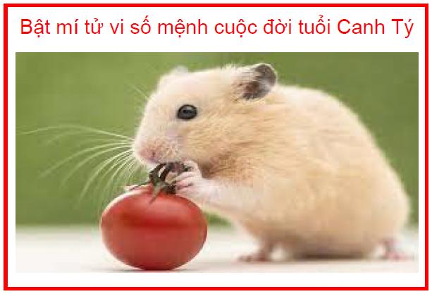 Bật mí tử vi số mệnh cuộc đời tuổi Canh Tý