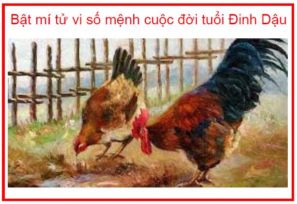 Bật mí tử vi số mệnh cuộc đời tuổi Đinh Dậu