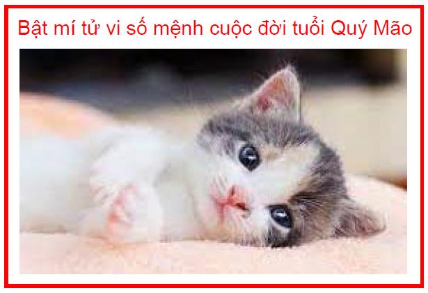 Bật mí tử vi số mệnh cuộc đời tuổi Quý Mão