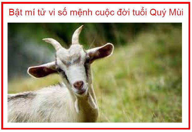Bật mí tử vi số mệnh cuộc đời tuổi Quý Mùi