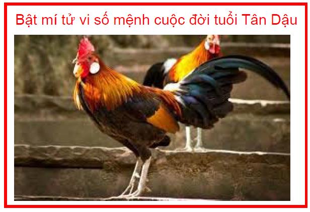 Bật mí tử vi số mệnh cuộc đời tuổi Tân Dậu