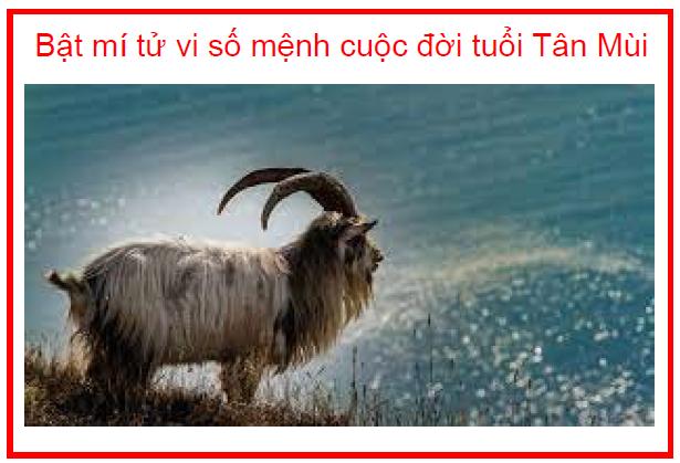 Bật mí tử vi số mệnh cuộc đời tuổi Tân Mùi