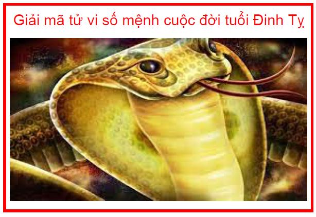 Giải mã tử vi số mệnh cuộc đời tuổi Đinh Tỵ