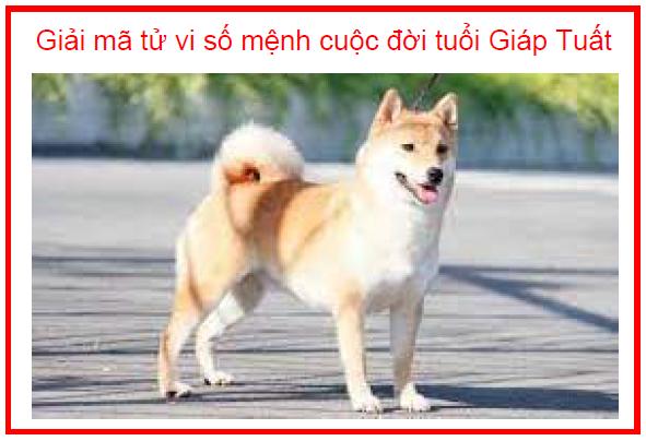 Giải mã tử vi số mệnh cuộc đời tuổi Giáp Tuất