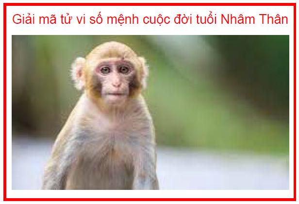 Giải mã tử vi số mệnh cuộc đời tuổi Nhâm Thân