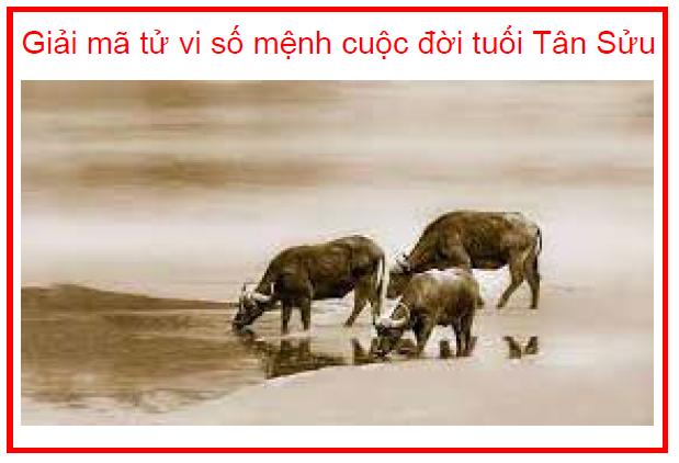 Giải mã tử vi số mệnh cuộc đời tuổi Tân Sửu