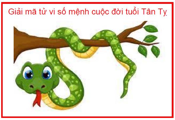 Giải mã tử vi số mệnh cuộc đời tuổi Tân Tỵ