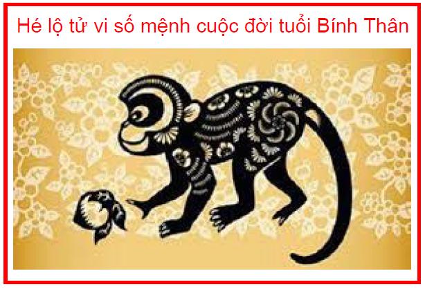 Hé lộ tử vi số mệnh cuộc đời tuổi Bính Thân