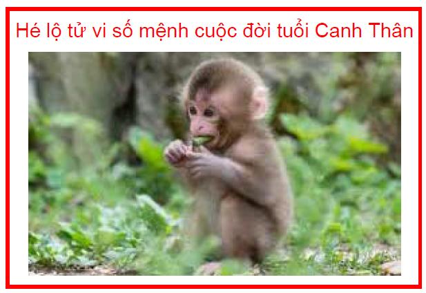 Hé lộ tử vi số mệnh cuộc đời tuổi Canh Thân