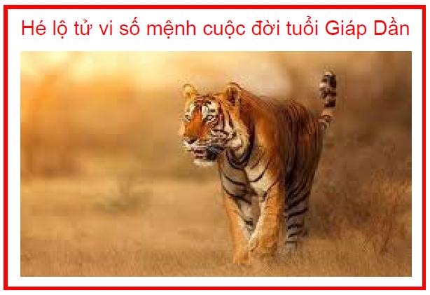 Hé lộ tử vi số mệnh cuộc đời tuổi Giáp Dần