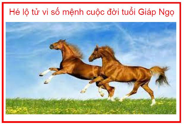 Hé lộ tử vi số mệnh cuộc đời tuổi Giáp Ngọ
