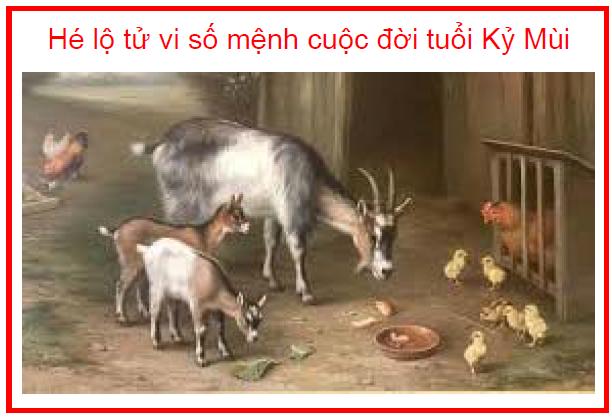 Hé lộ tử vi số mệnh cuộc đời tuổi Kỷ Mùi