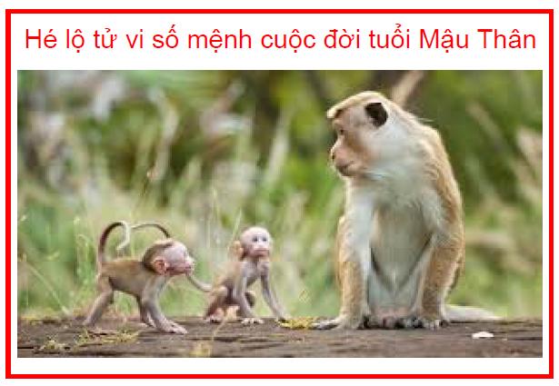 Hé lộ tử vi số mệnh cuộc đời tuổi Mậu Thân
