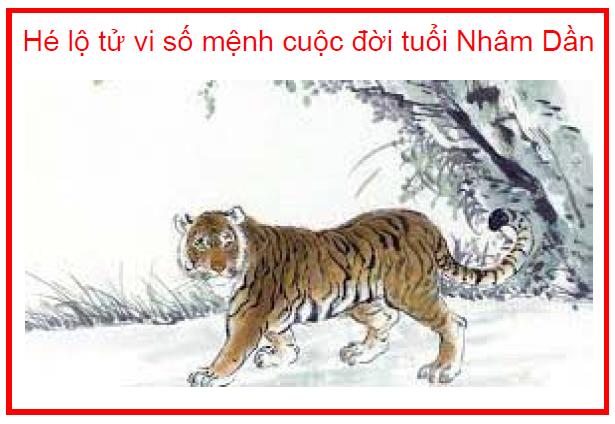 Hé lộ tử vi số mệnh cuộc đời tuổi Nhâm Dần