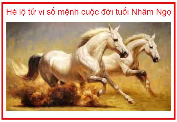 Hé lộ tử vi số mệnh cuộc đời tuổi Nhâm Ngọ