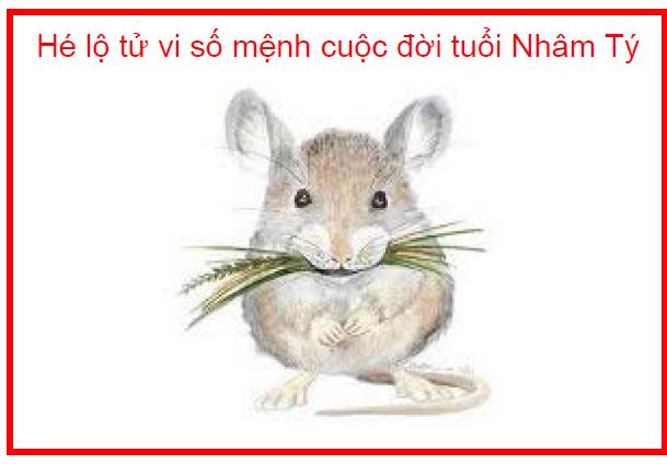 Hé lộ tử vi số mệnh cuộc đời tuổi Nhâm Tý