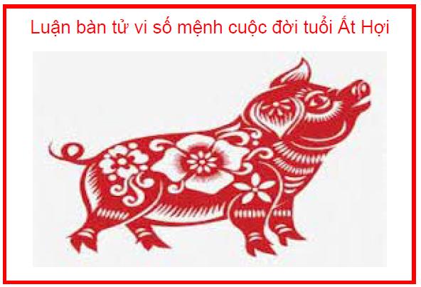 Luận bàn tử vi số mệnh cuộc đời tuổi Ất Hợi