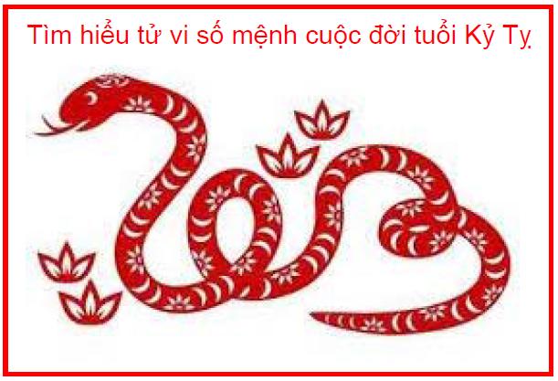 Tìm hiểu tử vi số mệnh cuộc đời tuổi Kỷ Tỵ