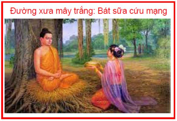 Đường xưa mây trắng Bát sữa cứu mạng