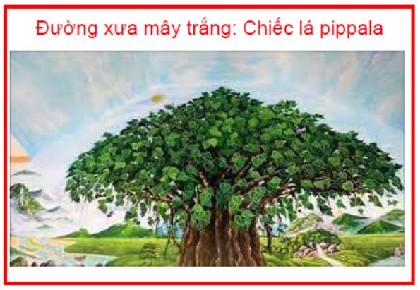 Đường xưa mây trắng Chiếc lá pippala