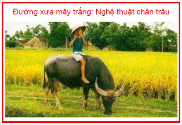 Đường xưa mây trắng Nghệ thuật chăn trâu