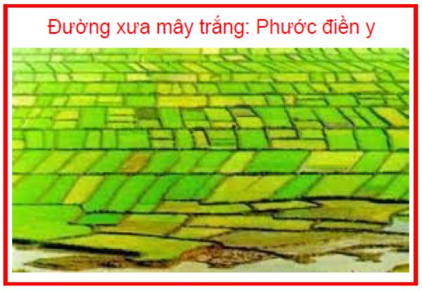 Đường xưa mây trắng Phước điền y