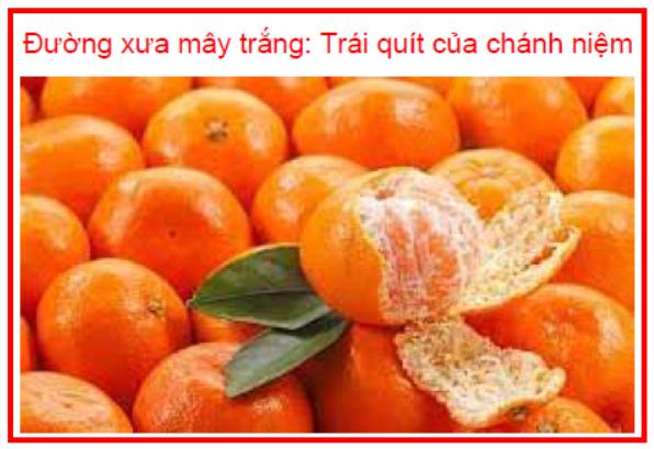 Đường xưa mây trắng Trái quít của chánh niệm