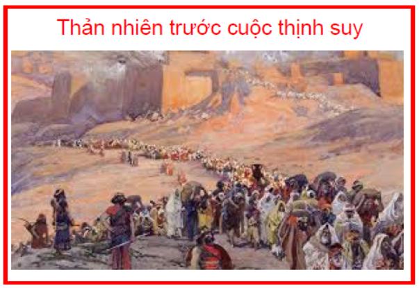 Thản nhiên trước cuộc thịnh suy