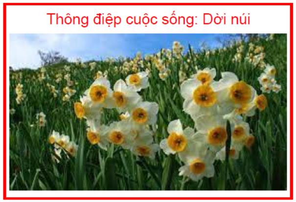 Thông điệp cuộc sống Dời núi