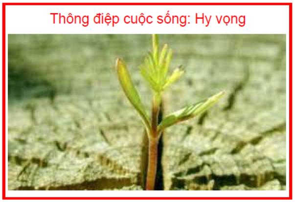 Thông điệp cuộc sống Hy vọng