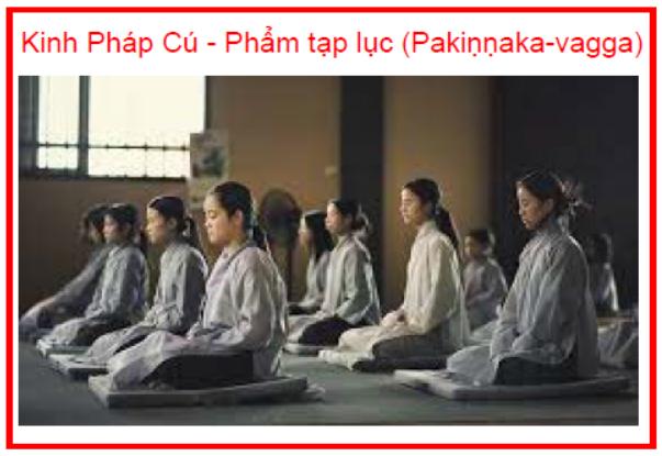 Kinh Pháp Cú Phẩm tạp lục (Pakiṇṇaka vagga)